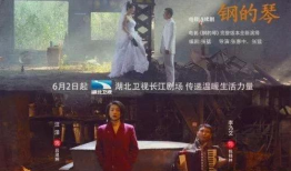 钢的琴电视剧演员表,实力派明星齐聚一堂